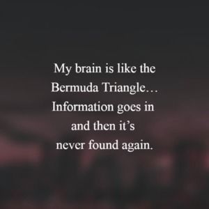 Meet your Posher, Savannah